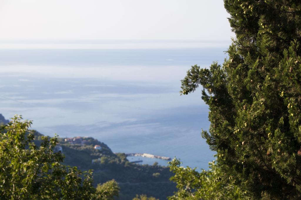 'Ολγα Ξενοδοχείο Mourésion Εξωτερικό φωτογραφία